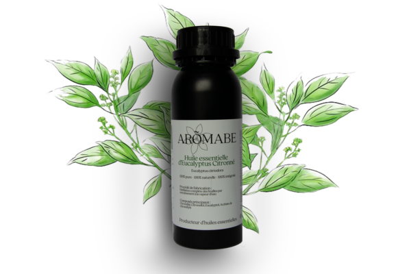 Huile Essentielle d’Eucalyptus Citronné – Image 3