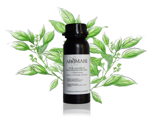 Coffret d'huile essentielle Eucalyptus Citronné – Image 2