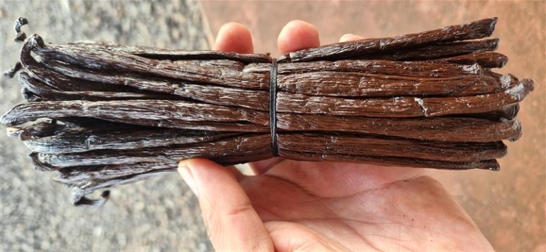 vanille bourbon origine Madagascar gousse gourmet