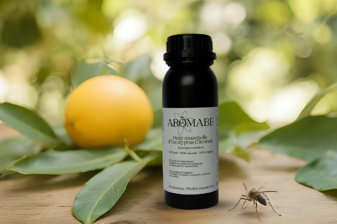 huile essentielle eucalyptus citronné contre les moustiques