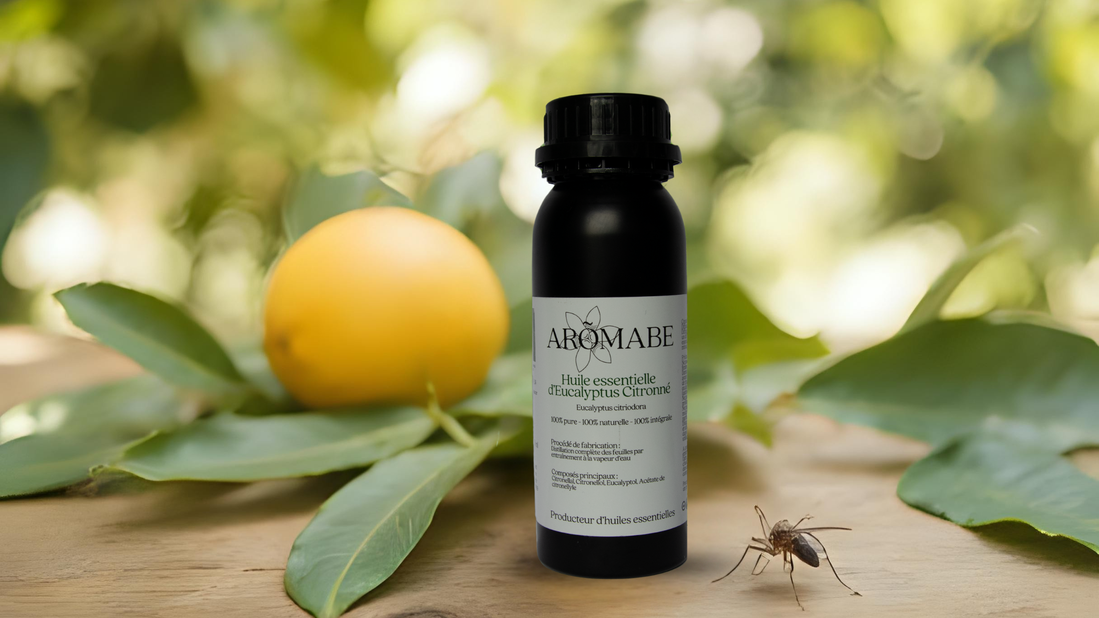 huile essentielle eucalyptus citronné contre les moustiques